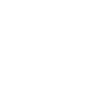 Phiesi%20Networks